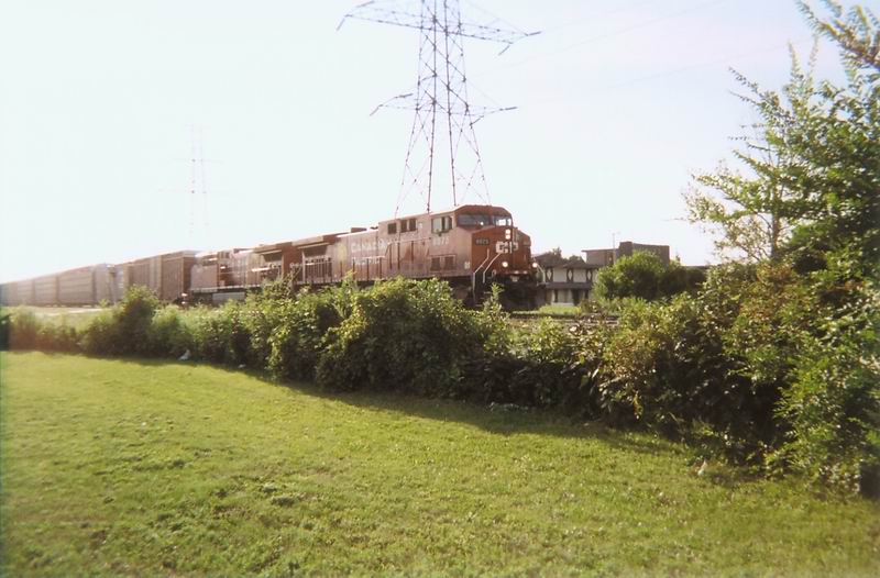 cp8575b.jpg