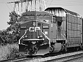 cp9655bw