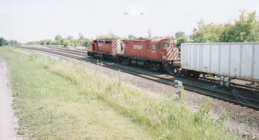 cp1104x.jpg