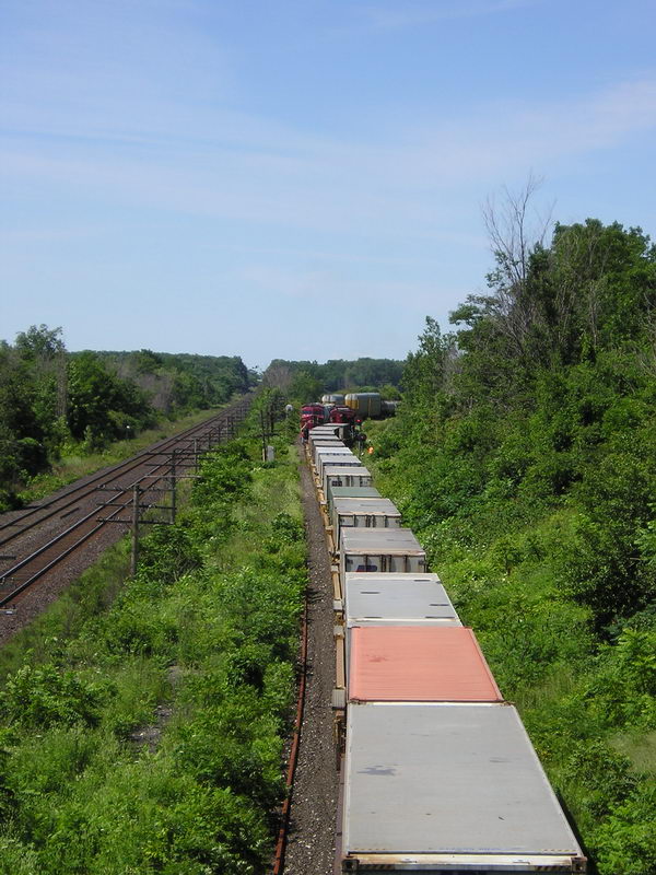 cp420and243b.jpg