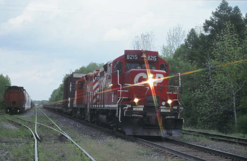 cp8215.jpg