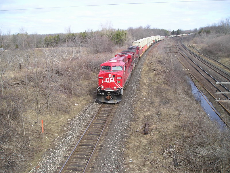 cp8732.jpg