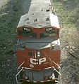 cp9303