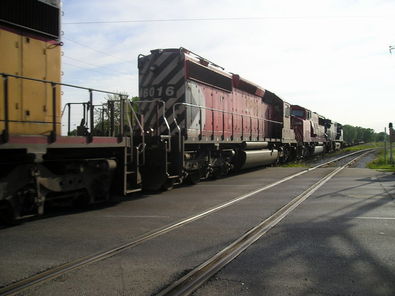 cp6016.jpg
