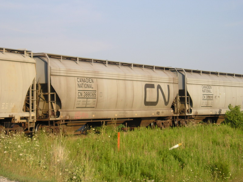 cn388065.jpg