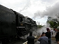 2009trainfest6