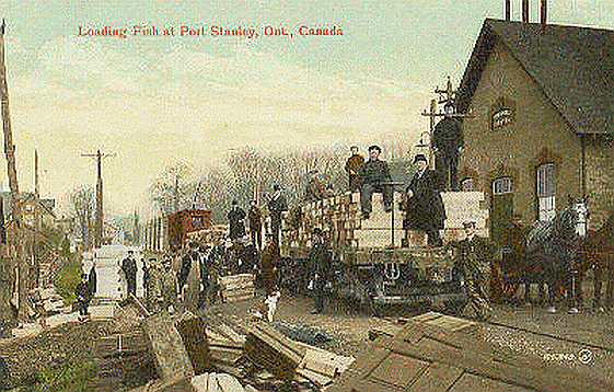 Loading Fish on the Traction in Port Stanley - colour postcard