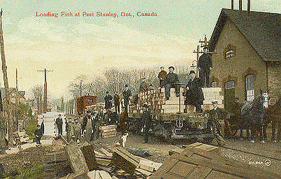 Loading Fish on the Traction in Port Stanley - Colour Postcard