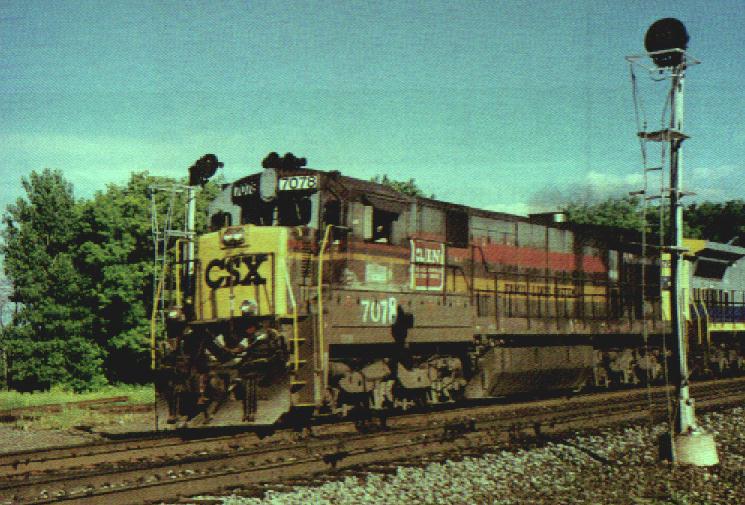 080001.jpg (89389 bytes)