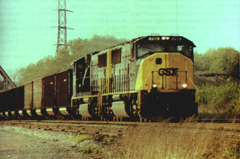 080002.jpg (89715 bytes)