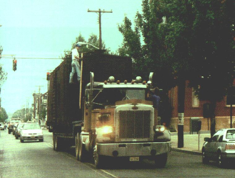 100001.jpg (73124 bytes)