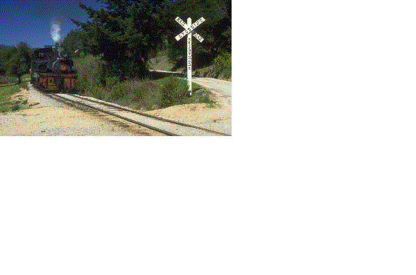 Steam train at crossing