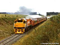 DC 4444: Image by Grant Dew