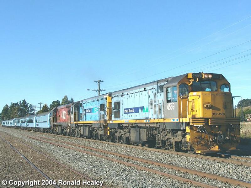 DCP 4559: Image by Ron Healey