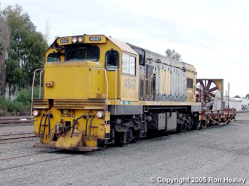 DCP 4847: Image by Ron Healey