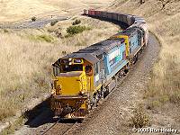 DFT 7186: Image by Ron Healey