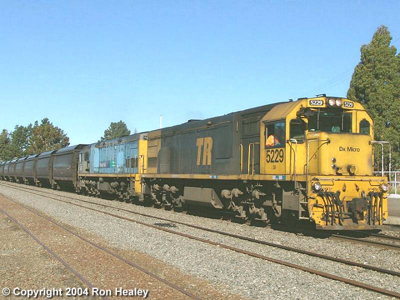 DX 5229: Image by Ron Healey