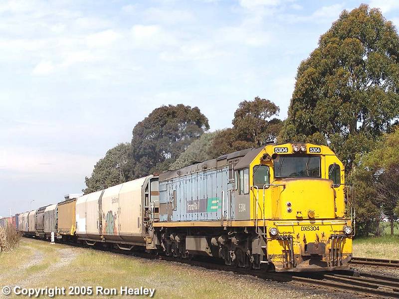 DX 5304: Image by Ron Healey