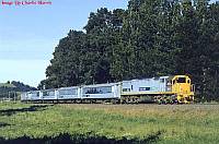 DX 5310: Image by Charlie Harris