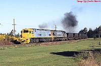 DX 5431: Image by Charlie Harris