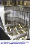 Westminster Interchange Escalators-1.jpg (41939 bytes)