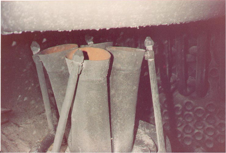 Lempor
        closeup