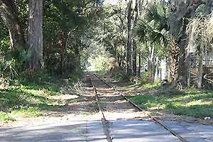 Photo 04
