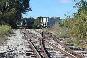 Photo 05