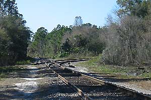 Photo 07