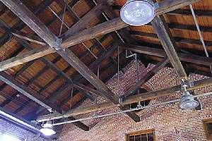Photo 006