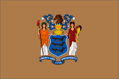 New Jersey State Flag