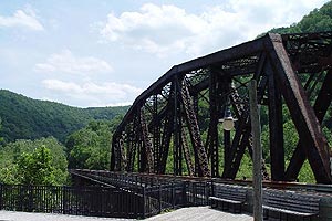 Photo 005