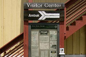 Photo 006