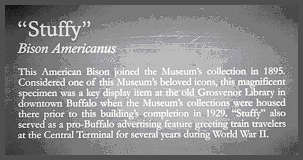 The plaque at the base of Stuffy at the Buffalo Museum of Science. ©Greg Jandura - Click to Enlarge (10K)-(100K)