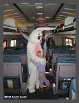 A big Hug from a little friend. - Click to ENLARGE (10K)-(60K)
