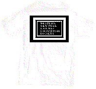 All Cotton T-Shirt